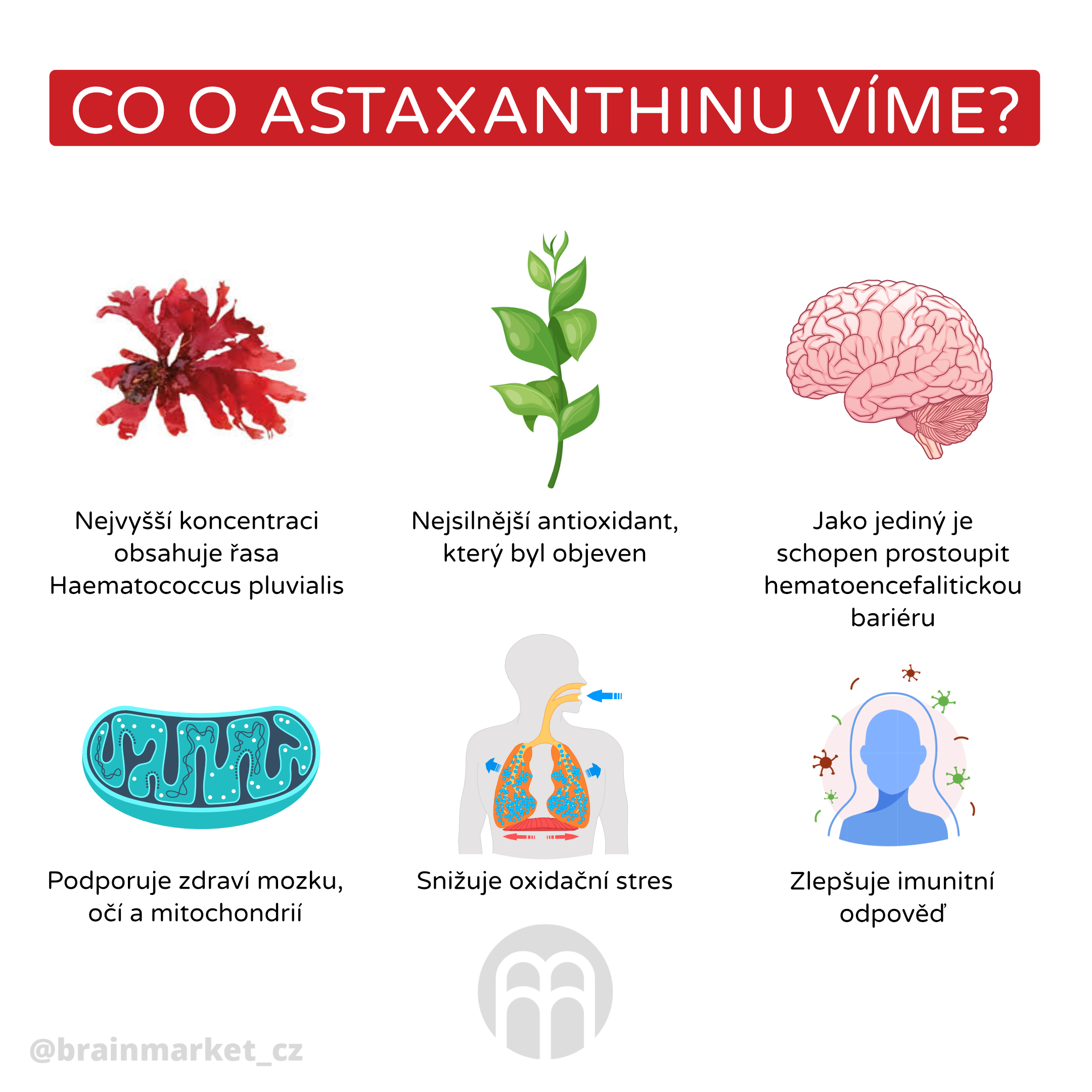 astaxanthin_cz